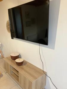 TV a/nebo společenská místnost v ubytování Gîte des champs fondus