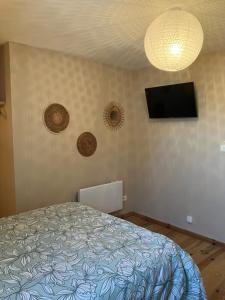 TV a/nebo společenská místnost v ubytování Gîte des champs fondus