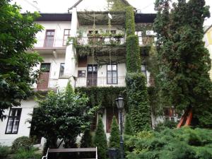 Vonkajšia záhrada v ubytovaní Casa Nora