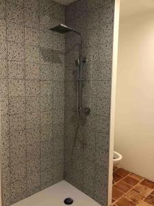a shower with a glass door in a bathroom at Le Couart in Castets