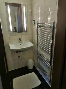 La petite salle de bains est pourvue d'un lavabo et d'une douche. dans l'établissement Gästehaus in der Daimlerstadt, à Schorndorf