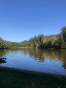 a large lake with trees in the background at gemütliches Einliegerapartment, 50 qm in Trippstadt