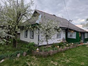 une maison blanche et verte avec un jardin en face de celle-ci dans l'établissement Медова садиба, à Subbotov