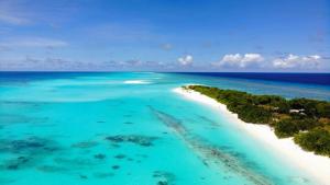 una vista aerea di una spiaggia nell'oceano di The Fulhadhoo Beach Cottage a Fulhadhoo