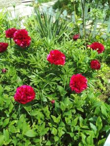 Gallery image of Holiday Home Ruben in Odzun +15 photos