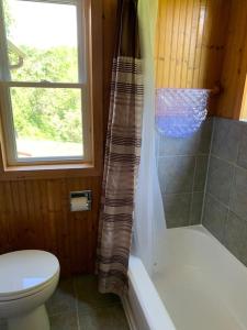 y baño con aseo y cortina de ducha. en Tranquil private get away cottage in the woods, 
