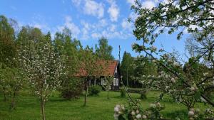 een oud huis midden in een veld met bomen bij A cozy cottage where you can enjoy the peace of the countryside in Salacgrīva