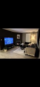 TV a/nebo společenská místnost v ubytování Stor leilighet med nydelig utsikt og solforhold