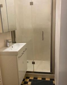 ein Badezimmer mit Dusche und Waschbecken in der Unterkunft Appartement/maison avec jardin in Noisy-le-Sec