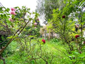 eine Gruppe von Bäumen mit rosa Blüten auf einem Feld in der Unterkunft Appartement/maison avec jardin in Noisy-le-Sec