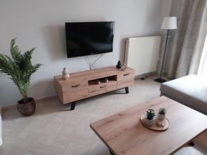 a living room with a flat screen tv on a wall at Vasiliki's place in Karditsa