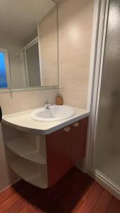 uma casa de banho com um lavatório e um espelho em camping Capbreton lapointe em Capbreton