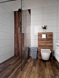 uma casa de banho com um WC e uma cabina de duche em vidro. em Agroturystyka Pod Brzozami em Rychwał