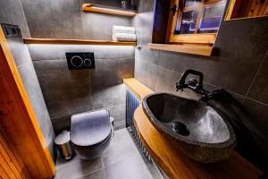 ein Bad mit einem Waschbecken und einem WC in der Unterkunft Relax house AVUS with Sauna in Slap ob Idrijci