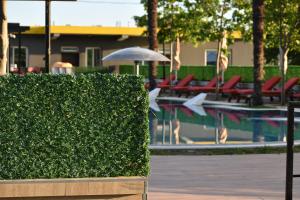 Bazén v ubytování Hotel Qetesia-Te Indriti nebo v jeho okolí