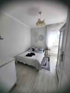 ゴジュフ・ヴィエルコポルスキにあるApartamenty Olimpijskaのベッドルーム1室(ベッド1台、テーブル、窓付)