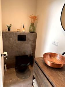 a bathroom with a copper sink and a toilet at Tiny house of Picasso in Warmenhuizen