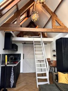 瓦门赫伊曾Tiny house of Picasso的带阁楼的厨房里的梯子 更多8张照片