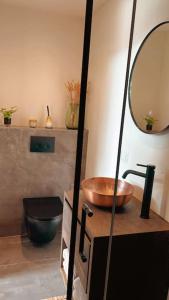 uma casa de banho com um lavatório, um WC e um espelho. em Tiny house of Picasso em Warmenhuizen