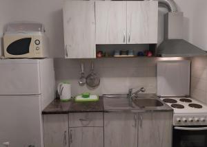 Kuchyň nebo kuchyňský kout v ubytování Novak Apartment