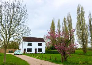 En have udenfor Nice cottage in the countryside