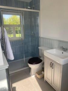 a bathroom with a toilet and a shower and a sink at Harry's Cottage in Aghanloo