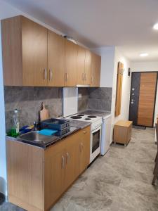 una cucina con lavandino e piano cottura forno superiore di MP Apartman a Soko Banja