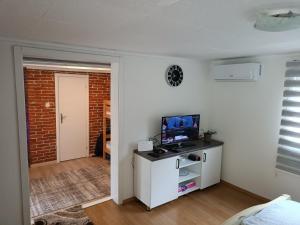 TV a/nebo společenská místnost v ubytování Cottage Auto Camp Vinac