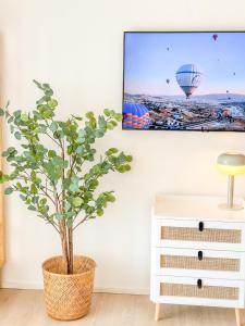 a potted plant in a living room with a tv at theSunset Club - Studio II - Küche - Balkon - Parken in Memmingen
