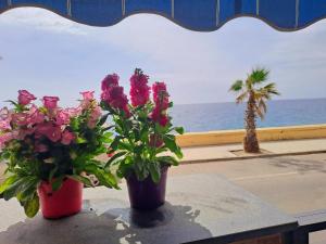 two pots of flowers sitting on a table near the ocean at Casa Michela in Letojanni