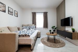 een woonkamer met een bank en een tv bij Belgrade Apartment Nook 1 in Belgrado