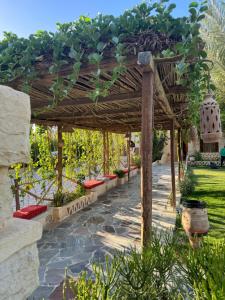 palm shadow resort في Tunis: بريغولا خشبي فوقه نباتات