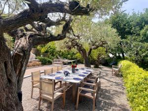 uma mesa com cadeiras sentadas debaixo de uma árvore em Villa familiale avec vue imprenable em Saint-Raphaël