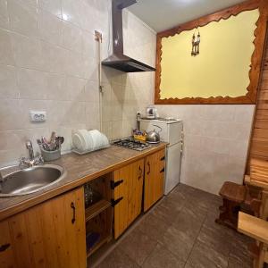 eine kleine Küche mit einer Spüle und einem Herd in der Unterkunft Kipreya in Jaremtsche