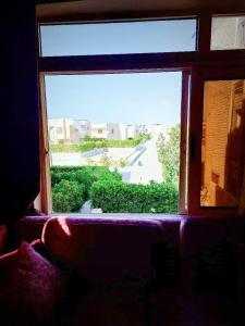 Φωτογραφία από το άλμπουμ του قرية هيلوبيتش الساحل الشمالي h σε Dawwār Ibrāhīm Abū Shunaywīr