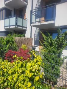 Vonkajšia záhrada v ubytovaní Apartamenty Olimpijska