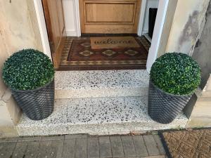 dos plantas sentadas frente a una puerta en Braidmead House en Irvine