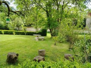 Maison d'hôtes في Orchaise: حديقة مع طاولة نزهة وسجل في العشب