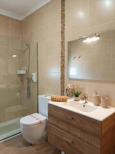 y baño con aseo, lavabo y ducha. en Villa al vent (lujo & relax), en Benitachell