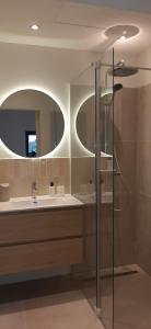 a bathroom with a sink and a mirror at 't Holtslag in Baak