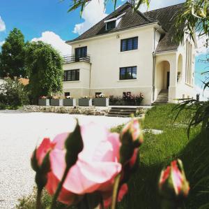 uma casa com uma flor rosa à frente dela em Domaine Bienvenue à la Saône em Montureux-lès-Baulay