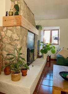 sala de estar con chimenea de piedra con macetas en Wellness guesthouse Casa é Connosco, en Alvaiázere