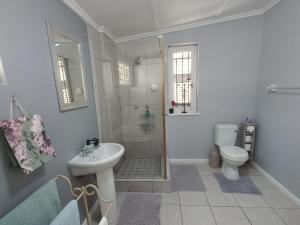 een badkamer met een douche, een toilet en een wastafel bij Peony Luxury Room with Wifi and own entrance in Stellenbosch