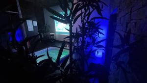 ein dunkles Zimmer mit einer Pflanze und einem Fenster in der Unterkunft Le Glamour Loft in Graincourt-lès-Havrincourt