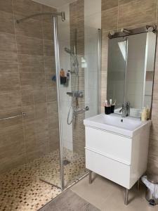 een badkamer met een wastafel en een douche bij Maison non fumeur - jardin 5 personnes aux portes de Brest in Guipavas