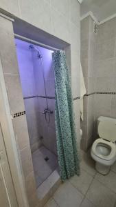 y baño con ducha, aseo y cortina de ducha. en Monoambiente centro pinamar, en Pinamar