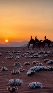 three people riding horses in the desert at sunset at Al-Hamima Al-Abbasiya village in Al Ḩumaymah al Jadīdah