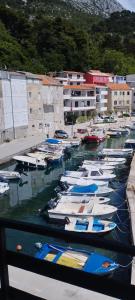 eine Gruppe von Booten liegt in einem Hafen vor Anker in der Unterkunft Apartman Maestral in Drašnice