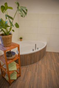 a bath tub with a potted plant in a bathroom at Ferienwohnung Papststeinblick in Kurort Gohrisch +30 photos