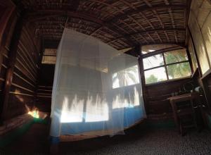 马祖特hostal pakal的相册照片